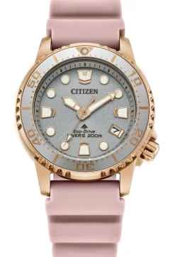 CITIZEN Eco-Drive Promaster Eco Ladies Stainless Steel