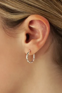14K White Gold Sm. Fancy Shell Earrings