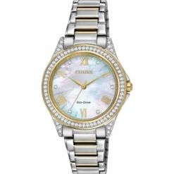 Lady's Citizen Eco Drive Watch