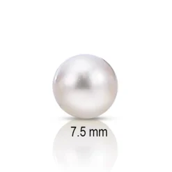 7.5mm Premium Japanese Akoya Add-A-Pearl